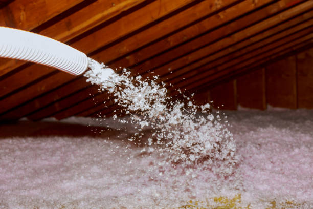 Best Home Insulation Services  in Spring Hope, NC