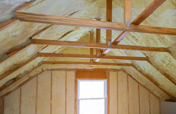 Best Insulation Contractors for Homes  in Spring Hope, NC