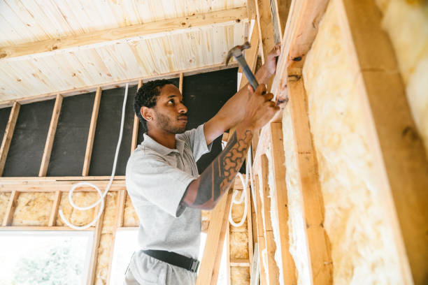 Best Insulation for New Construction  in Spring Hope, NC