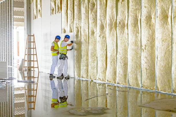 Best Attic Insulation Installation  in Spring Hope, NC